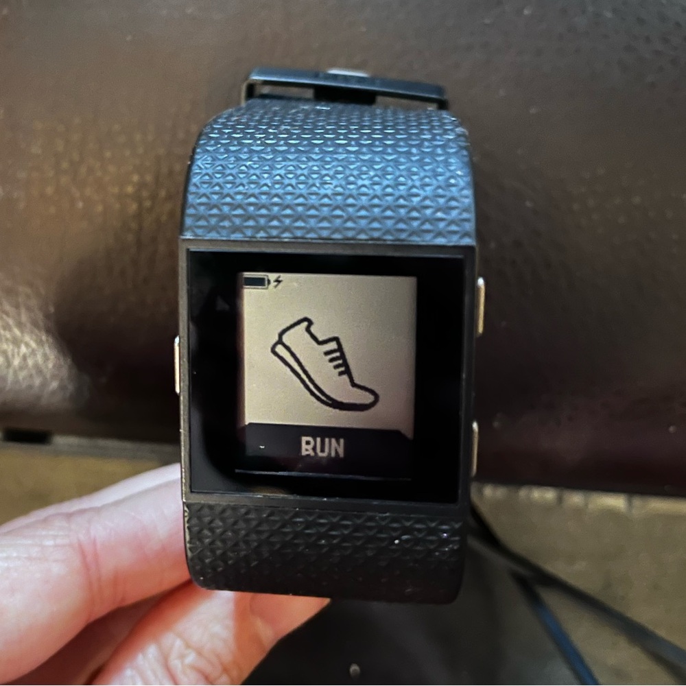 Fitbit with 2 Chords - Picture 3 of 8